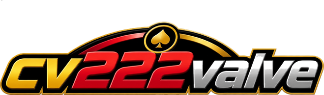 cv222valve